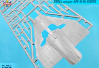 Scale model  Mirage IIIEA/EBR