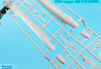 Scale model  Mirage IIIEA/EBR