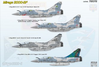 Scale model  Mirage 2000 5F