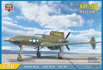 Scale model  XP-55 (1st Prototype)