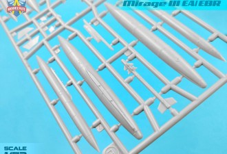 Scale model  Mirage IIIEA/EBR