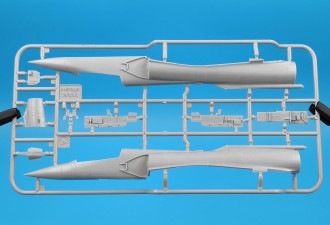 Scale model  Mirage 2000 5F
