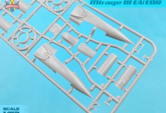Scale model  Mirage IIIEA/EBR