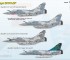 Scale model Mirage 2000 5F