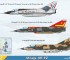 Scale model Mirage IIIE/EZ fighter-bomber
