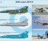Scale model Mirage IIIEA/EBR